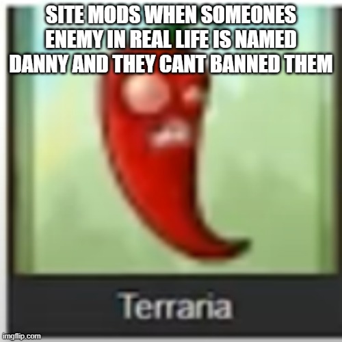 terraria | SITE MODS WHEN SOMEONES ENEMY IN REAL LIFE IS NAMED DANNY AND THEY CANT BANNED THEM | image tagged in terraria | made w/ Imgflip meme maker