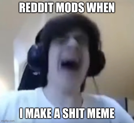 so true :( | REDDIT MODS WHEN; I MAKE A SHIT MEME | image tagged in npesta crying | made w/ Imgflip meme maker