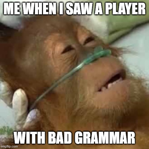 Dying orangutan | ME WHEN I SAW A PLAYER; WITH BAD GRAMMAR | image tagged in dying orangutan | made w/ Imgflip meme maker