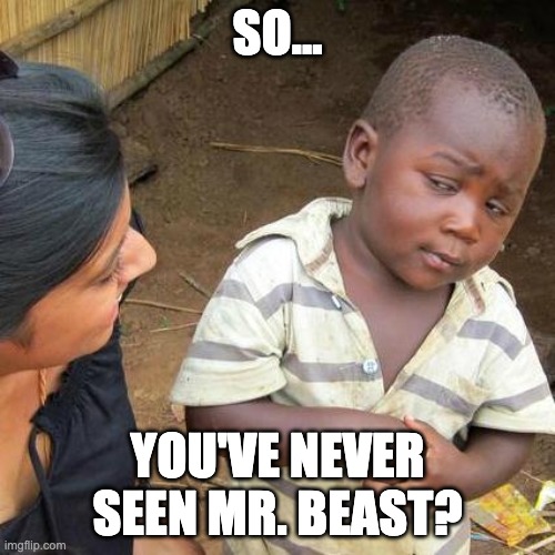 Popular youtubers... | SO... YOU'VE NEVER SEEN MR. BEAST? | image tagged in memes,third world skeptical kid | made w/ Imgflip meme maker