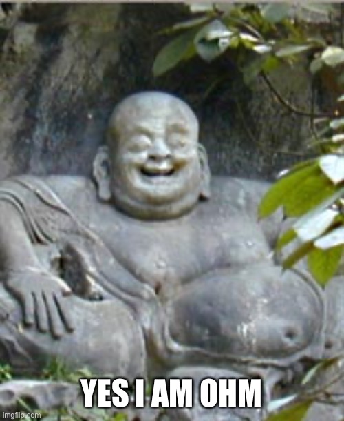 Laughing Buddah | YES I AM OHM | image tagged in laughing buddah | made w/ Imgflip meme maker