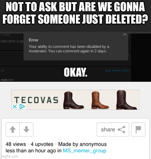 NOT TO ASK BUT ARE WE GONNA FORGET SOMEONE JUST DELETED? | made w/ Imgflip meme maker