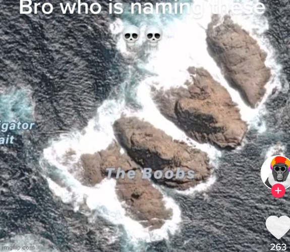 In Australia, there's rocks called "the boobs" roflmfao | made w/ Imgflip meme maker