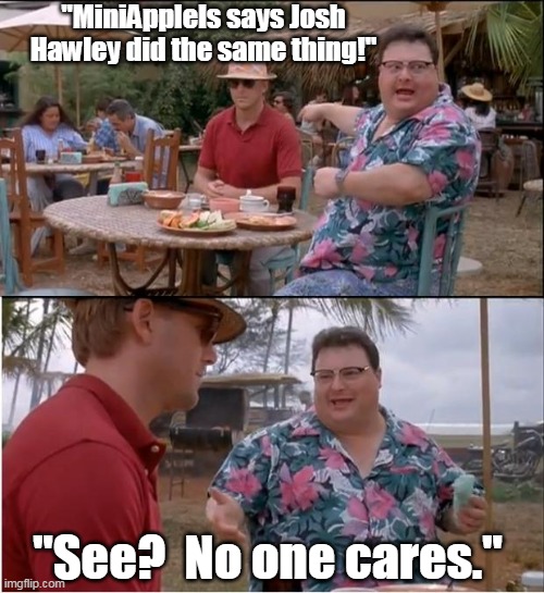 See Nobody Cares Meme | "MiniAppleIs says Josh Hawley did the same thing!" "See?  No one cares." | image tagged in memes,see nobody cares | made w/ Imgflip meme maker
