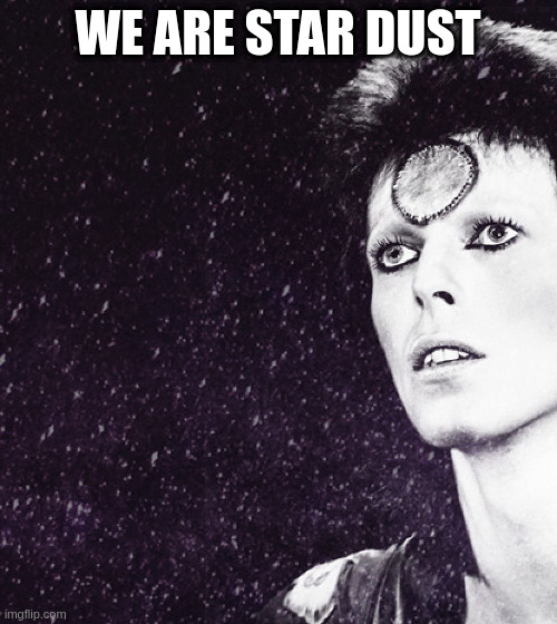 life goes on | WE ARE STAR DUST | image tagged in david bowie,universe | made w/ Imgflip meme maker