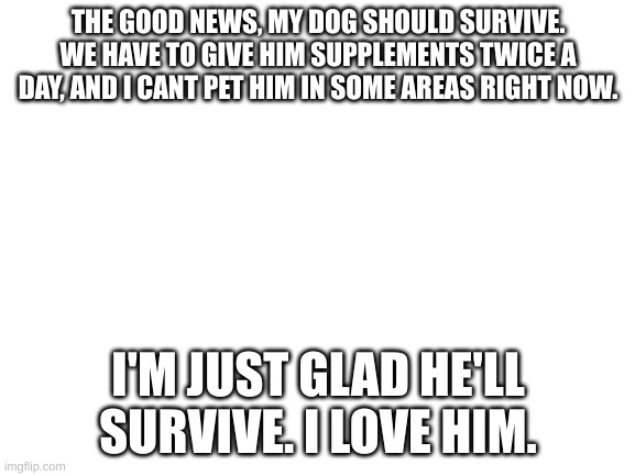 Blank White Template | THE GOOD NEWS, MY DOG SHOULD SURVIVE. WE HAVE TO GIVE HIM SUPPLEMENTS TWICE A DAY, AND I CANT PET HIM IN SOME AREAS RIGHT NOW. I'M JUST GLAD HE'LL SURVIVE. I LOVE HIM. | image tagged in blank white template | made w/ Imgflip meme maker