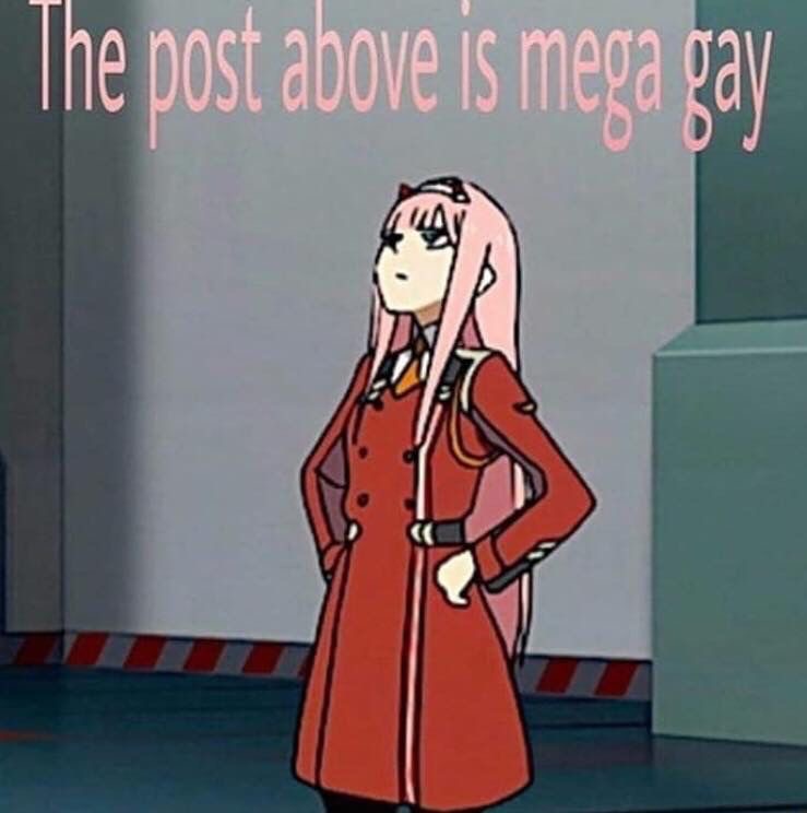 The post above is mega gay Blank Meme Template