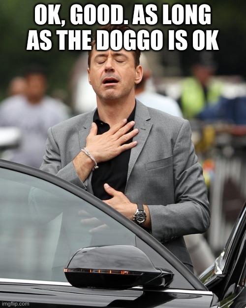 Relief | OK, GOOD. AS LONG AS THE DOGGO IS OK | image tagged in relief | made w/ Imgflip meme maker