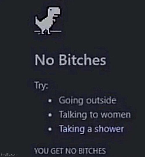no bitches | image tagged in no bitches | made w/ Imgflip meme maker
