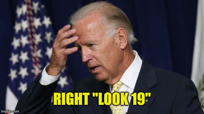 Joe Biden worries | RIGHT "LOOK 19" | image tagged in joe biden worries | made w/ Imgflip meme maker