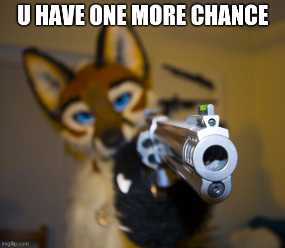 Furry with gun | U HAVE ONE MORE CHANCE | image tagged in furry with gun | made w/ Imgflip meme maker