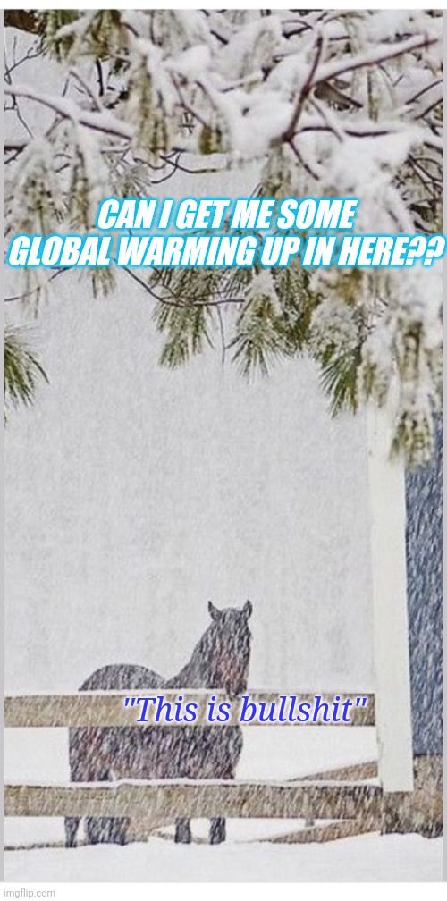  CAN I GET ME SOME GLOBAL WARMING UP IN HERE?? "This is bullshit" | image tagged in climate change,communist socialist,hoax,democrat,bullshit,libtards | made w/ Imgflip meme maker