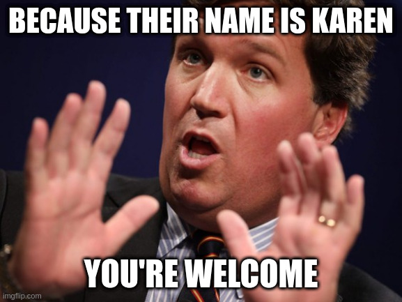 Tucker Fucker | BECAUSE THEIR NAME IS KAREN YOU'RE WELCOME | image tagged in tucker fucker | made w/ Imgflip meme maker