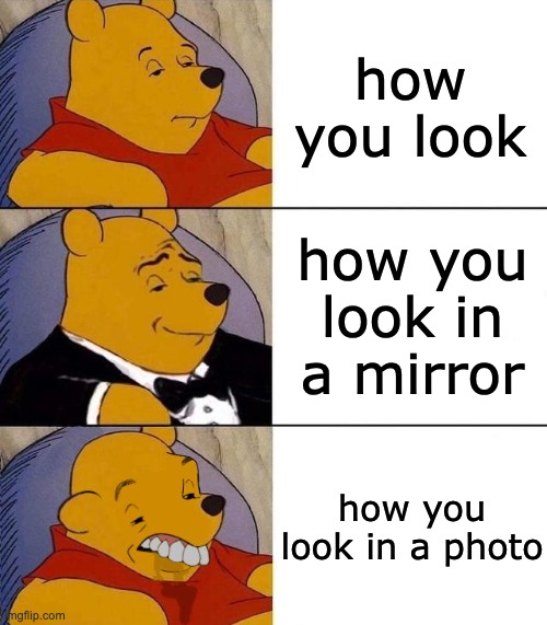 Uglyyy | how you look; how you look in a mirror; how you look in a photo | image tagged in best better blurst,relatable,photos,oh wow are you actually reading these tags | made w/ Imgflip meme maker