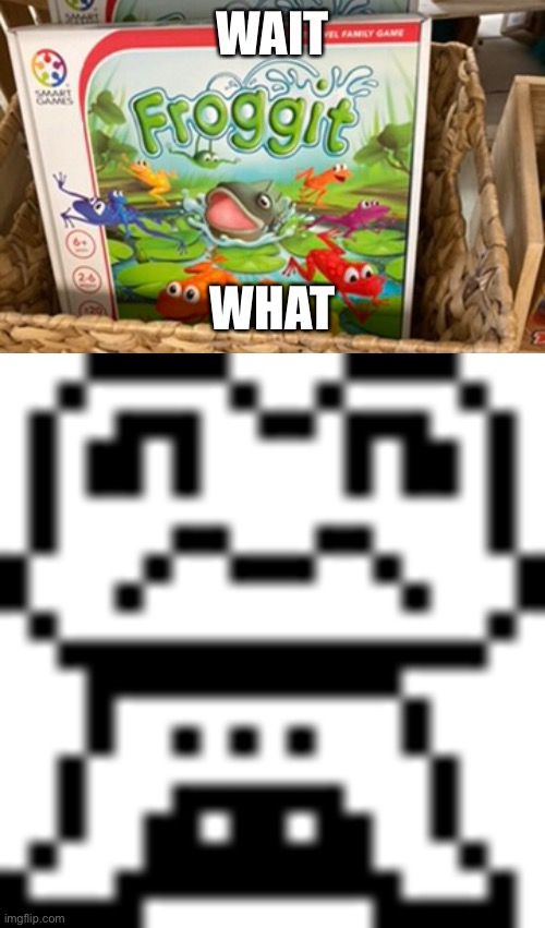 I took that photo lol | WAIT; WHAT | image tagged in froggit | made w/ Imgflip meme maker