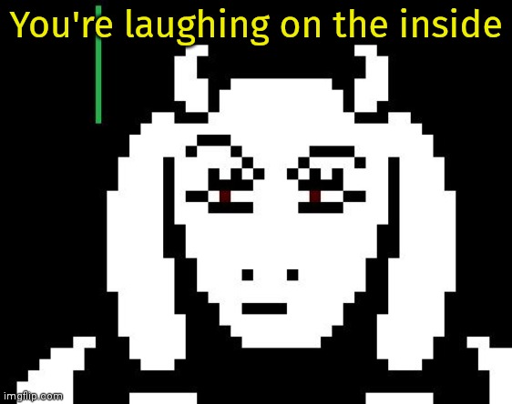 Undertale - Toriel | You're laughing on the inside | image tagged in undertale - toriel | made w/ Imgflip meme maker