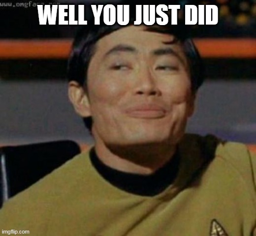 sulu | WELL YOU JUST DID | image tagged in sulu | made w/ Imgflip meme maker