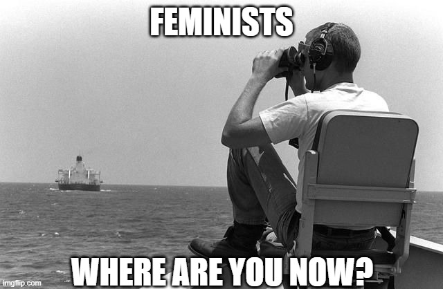 Where are you | FEMINISTS WHERE ARE YOU NOW? | image tagged in where are you | made w/ Imgflip meme maker