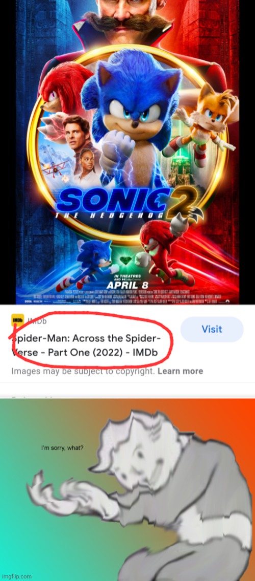 Ah yes, imdb strikes again! | image tagged in i'm sorry what,sonic the hedgehog,imdb | made w/ Imgflip meme maker