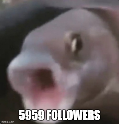 5959 | 5959 FOLLOWERS | image tagged in poggers fish | made w/ Imgflip meme maker