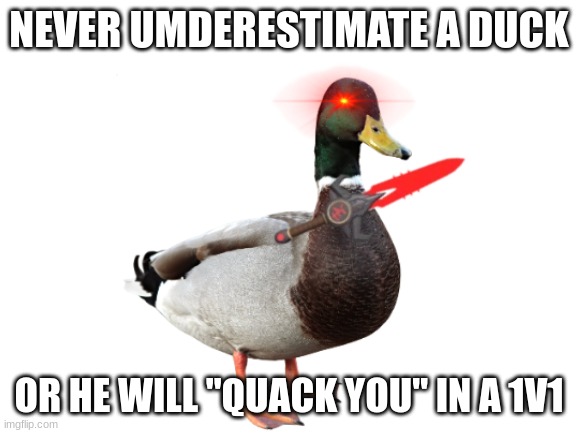 the power of duck |  NEVER UMDERESTIMATE A DUCK; OR HE WILL "QUACK YOU" IN A 1V1 | image tagged in the duck song | made w/ Imgflip meme maker