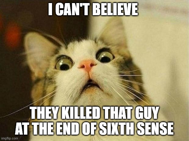 did that happen, or was i imagining it | I CAN'T BELIEVE; THEY KILLED THAT GUY AT THE END OF SIXTH SENSE | image tagged in memes,scared cat | made w/ Imgflip meme maker