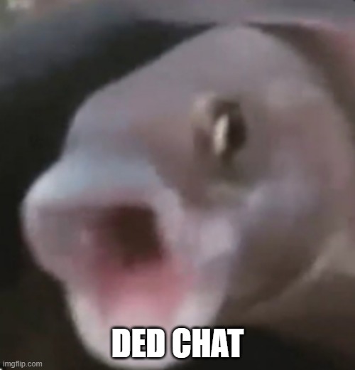 u | DED CHAT | image tagged in poggers fish | made w/ Imgflip meme maker