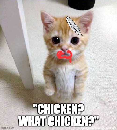 Naughty kitty | "CHICKEN? WHAT CHICKEN?" | image tagged in memes,cute cat,chicken,funny,cats | made w/ Imgflip meme maker