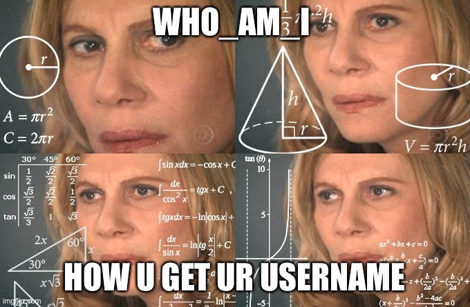 yo who_am_i comment on this | WHO_AM_I; HOW U GET UR USERNAME | image tagged in calculating meme,who_am_i | made w/ Imgflip meme maker