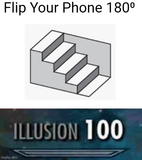 Illusion 100 | Flip Your Phone 180⁰ | image tagged in blank white template | made w/ Imgflip meme maker