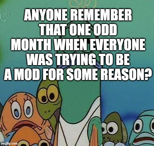 SpongeBob | ANYONE REMEMBER THAT ONE ODD MONTH WHEN EVERYONE WAS TRYING TO BE A MOD FOR SOME REASON? | image tagged in spongebob | made w/ Imgflip meme maker