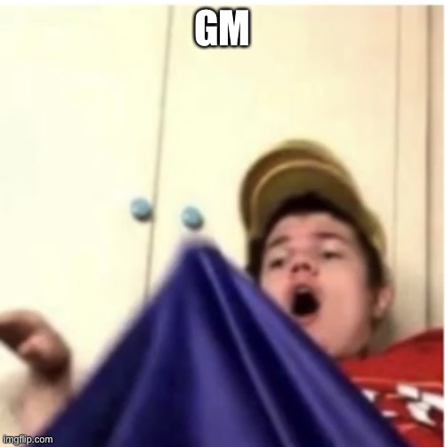 Alfaoxtrot mega boner | GM | image tagged in alfaoxtrot mega boner | made w/ Imgflip meme maker