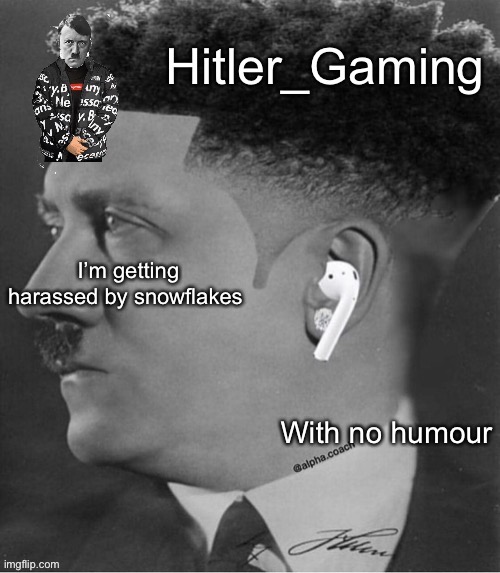 Hitler temp | I’m getting harassed by snowflakes; With no humour | image tagged in hitler temp | made w/ Imgflip meme maker