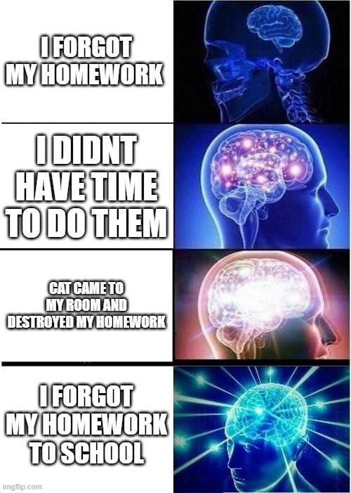 different ways to not do homework | I FORGOT MY HOMEWORK; I DIDNT HAVE TIME TO DO THEM; CAT CAME TO MY ROOM AND DESTROYED MY HOMEWORK; I FORGOT MY HOMEWORK TO SCHOOL | image tagged in memes,expanding brain | made w/ Imgflip meme maker