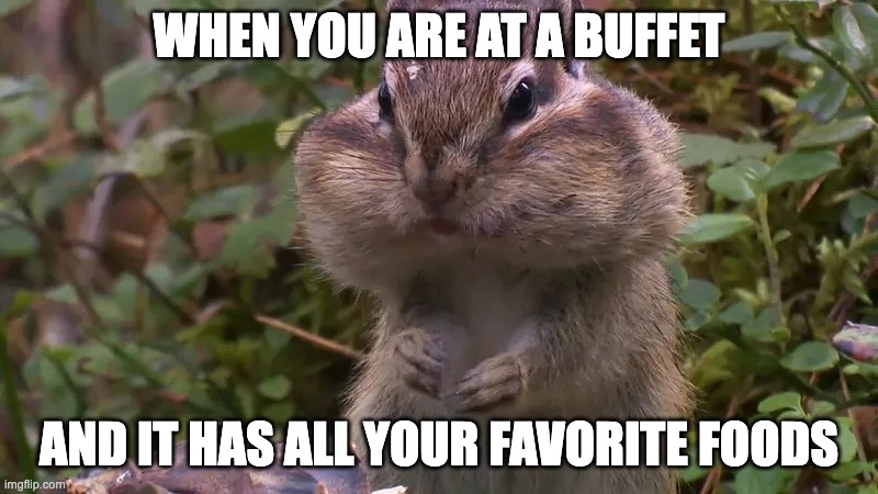 Mmmm.... Plump Boi |  WHEN YOU ARE AT A BUFFET; AND IT HAS ALL YOUR FAVORITE FOODS | image tagged in memes,funny,relatable,big chungus,cool | made w/ Imgflip meme maker