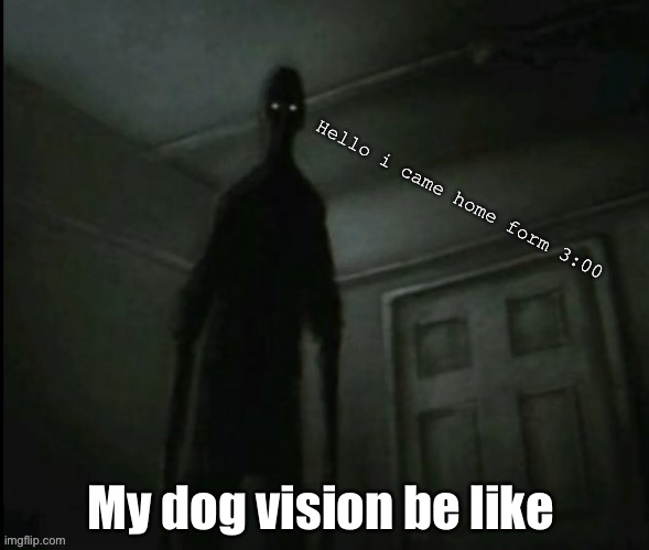 اس سانچے کو استعمال نہ کریں۔ | Hello i came home form 3:00; My dog vision be like | image tagged in doge,3am,cursed image | made w/ Imgflip meme maker