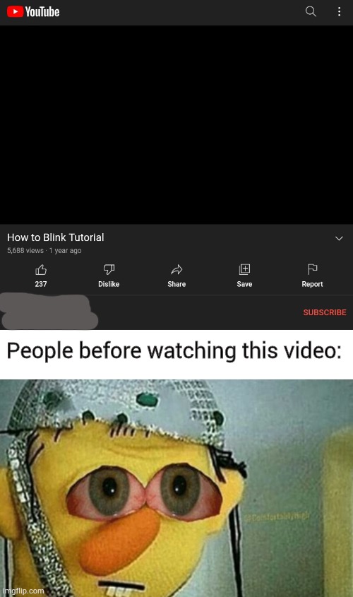Gee thanks.. I haven't blinked since the moment I first opened my eyes. :)) | People before watching this video: | image tagged in memes,wth,but why tho,why are you reading this,u good no,oh wow are you actually reading these tags | made w/ Imgflip meme maker