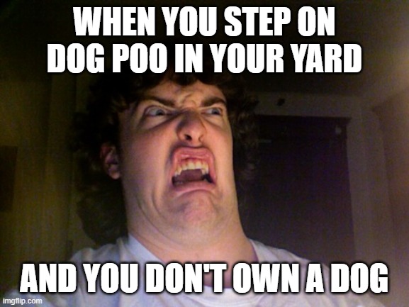 Hmmmm.... |  WHEN YOU STEP ON DOG POO IN YOUR YARD; AND YOU DON'T OWN A DOG | image tagged in memes,oh no,dog poop | made w/ Imgflip meme maker