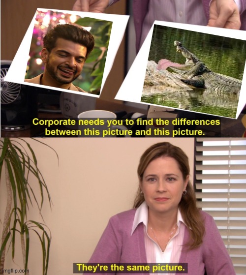 They're The Same Picture Meme | image tagged in memes,they're the same picture | made w/ Imgflip meme maker