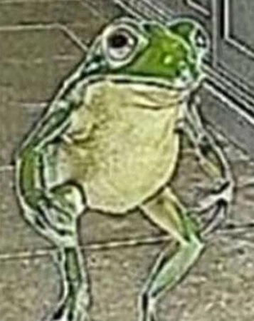 High Quality froggo Blank Meme Template
