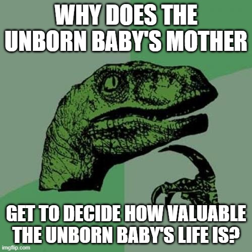 Philosoraptor Meme | WHY DOES THE UNBORN BABY'S MOTHER; GET TO DECIDE HOW VALUABLE THE UNBORN BABY'S LIFE IS? | image tagged in memes,philosoraptor | made w/ Imgflip meme maker