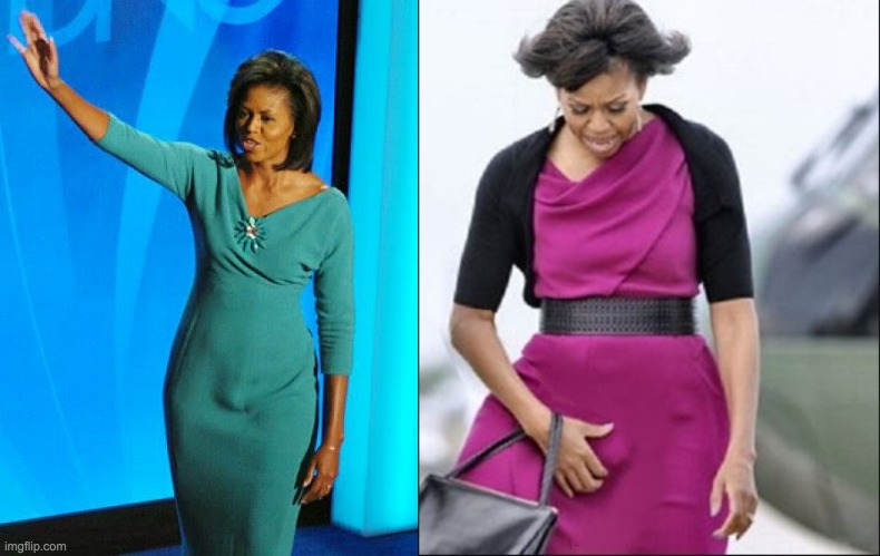 image tagged in michelle or michael obama,michael obama | made w/ Imgflip meme maker