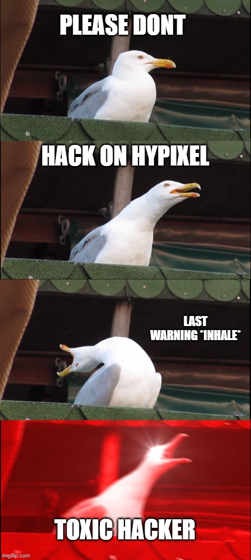 Inhaling Seagull Meme | PLEASE DONT; HACK ON HYPIXEL; LAST WARNING *INHALE*; TOXIC HACKER | image tagged in memes,inhaling seagull | made w/ Imgflip meme maker