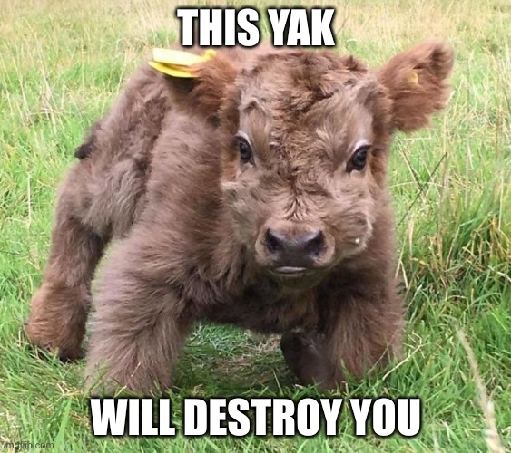 Strong yak | THIS YAK; WILL DESTROY YOU | image tagged in funny | made w/ Imgflip meme maker