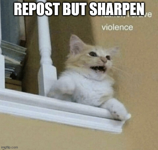 father, I crave violence cat | REPOST BUT SHARPEN | image tagged in father i crave violence cat | made w/ Imgflip meme maker