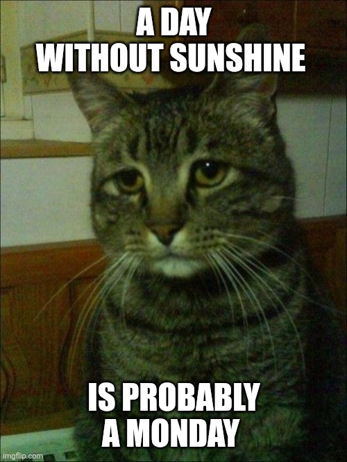 Depressed Cat Meme | A DAY WITHOUT SUNSHINE IS PROBABLY A MONDAY | image tagged in memes,depressed cat | made w/ Imgflip meme maker