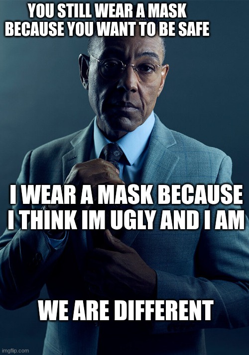 heheheha | YOU STILL WEAR A MASK BECAUSE YOU WANT TO BE SAFE; I WEAR A MASK BECAUSE I THINK IM UGLY AND I AM; WE ARE DIFFERENT | image tagged in gus fring we are not the same,mask | made w/ Imgflip meme maker