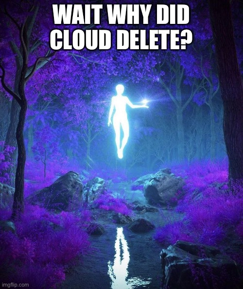 Raine’s temp | WAIT WHY DID CLOUD DELETE? | image tagged in raine s temp | made w/ Imgflip meme maker