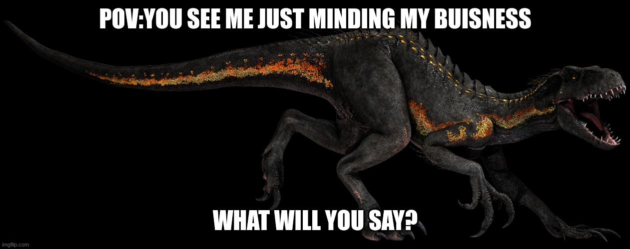 Ripper (Indoraptor) | POV:YOU SEE ME JUST MINDING MY BUISNESS; WHAT WILL YOU SAY? | image tagged in ripper | made w/ Imgflip meme maker