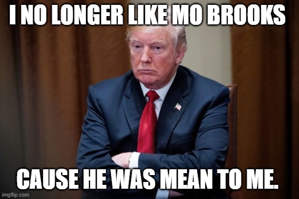 Man Baby Trump | I NO LONGER LIKE MO BROOKS; CAUSE HE WAS MEAN TO ME. | image tagged in man baby trump | made w/ Imgflip meme maker
